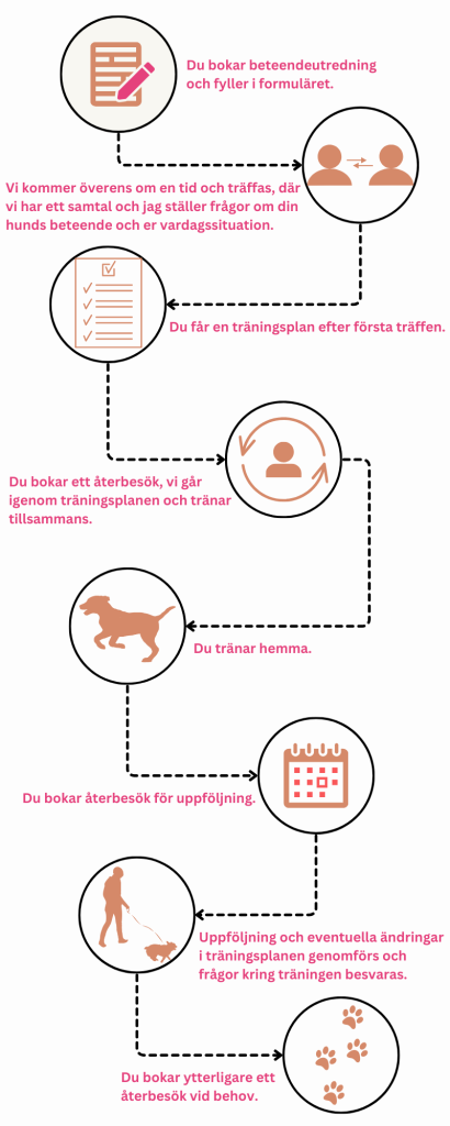 hundinstruktor-motala-ostergotland-hundtranare-motala-ostergotland-hundkurser-motala-ostergotland-vardagslydnadskurs-motala-hundmoteskurs-motala-ostergotland-beteendeutredning-motala