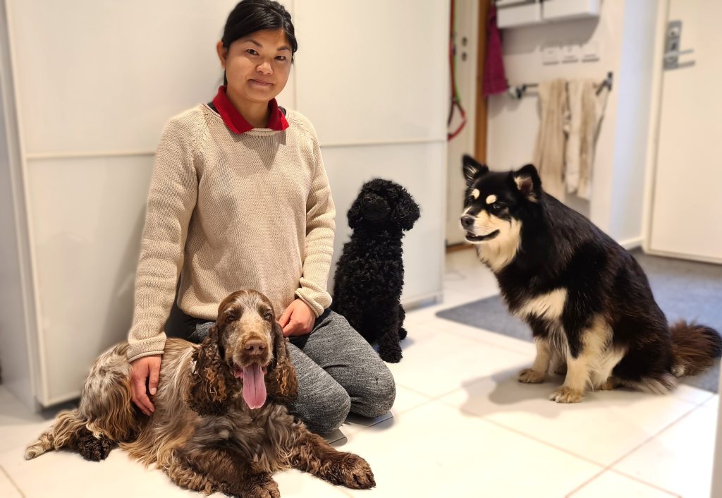 hundkurser motala östergötland, valpkurs motala, hundmöteskurs motala, vardagslydnadskurs motala, hundinstruktör motala östergötland, hjälp med hundproblem motala östergötland