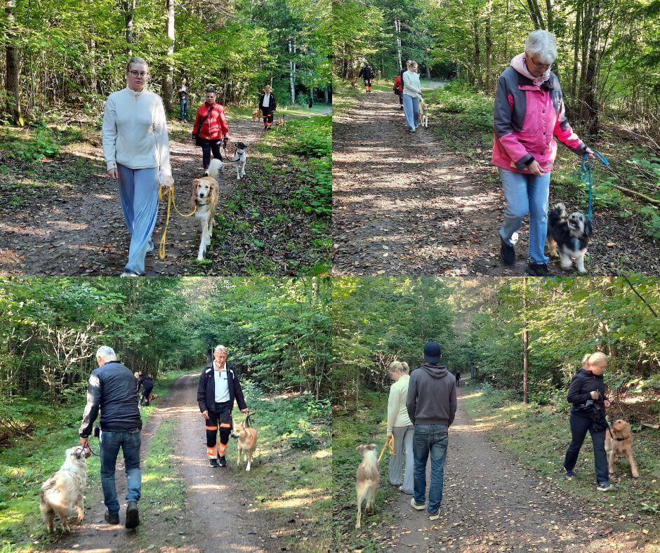 vardagslydnad motala östergötland, hundkurs motala östergötland, valpkurs motala östergötland, hundmöte motala östergötland, hundträning motala östergötland, hundinstruktör motala östergötland, hundtränare motala