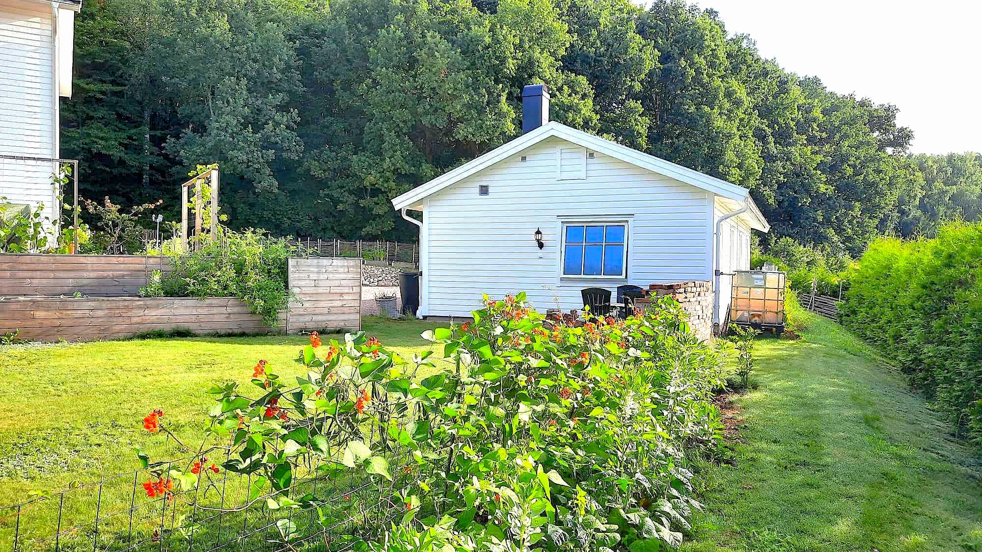 Håll dig lugn och träna hund! http://hannahundtraning.se/wp-content/uploads/2025/03/hundkurser-motala-ostergotland-hundmoteskurs-motala-ostergotland-valpkurs-motala-ostergotland-vardagslydnadskurs-motala-ostergotland-hundinstruktor-motala-ostergotland-hundcoach-motala-hundhjalp-1.jpg Hannas Hundträning - Hanna Le Thi