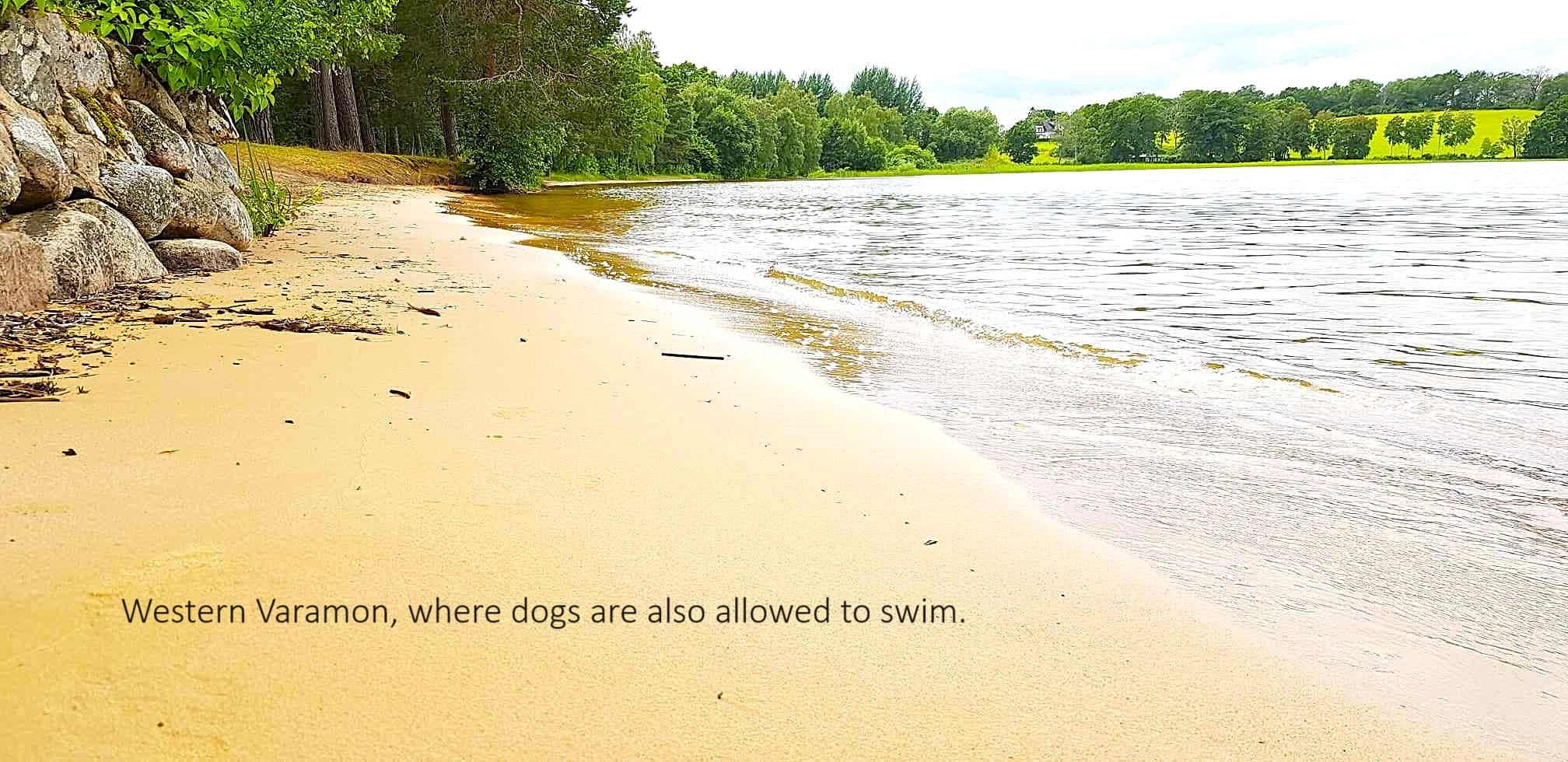 Håll dig lugn och träna hund! http://hannahundtraning.se/wp-content/uploads/2025/03/hundkurser-motala-ostergotland-hundmoteskurs-motala-ostergotland-valpkurs-motala-ostergotland-vardagslydnadskurs-motala-ostergotland-hundinstruktor-motala-ostergotland-hundcoach-motala-hundhjalp-1.jpg Hannas Hundträning - Hanna Le Thi