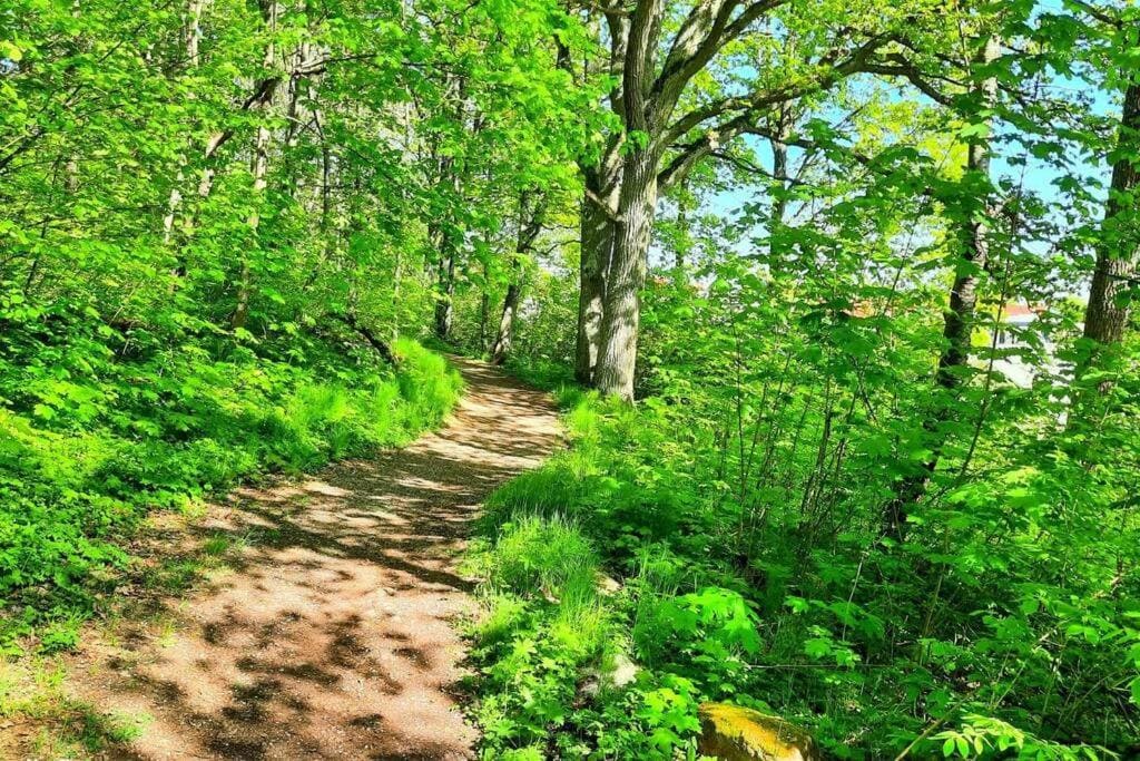 Håll dig lugn och träna hund! http://hannahundtraning.se/wp-content/uploads/2025/03/hundkurser-motala-ostergotland-hundmoteskurs-motala-ostergotland-valpkurs-motala-ostergotland-vardagslydnadskurs-motala-ostergotland-hundinstruktor-motala-ostergotland-hundcoach-motala-hundhjalp-1.jpg Hannas Hundträning - Hanna Le Thi