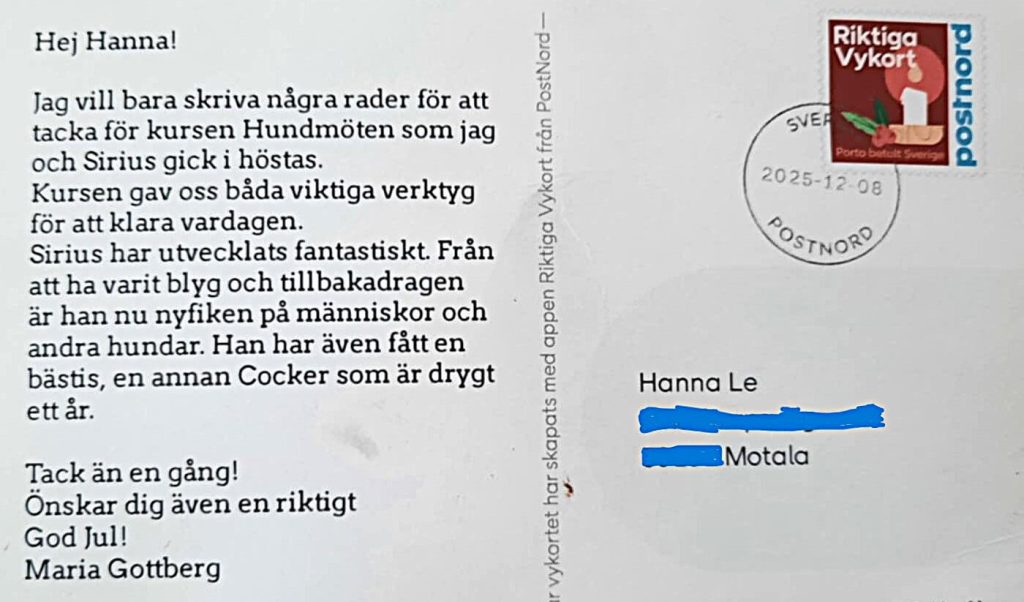 hundkurs-ostergotland-motala-vardagslydnad-ostergotland-motala-hundkurs-ostergotland-motala-hundtraning-ostergotland-motala-valpkurs-ostergotland-motala