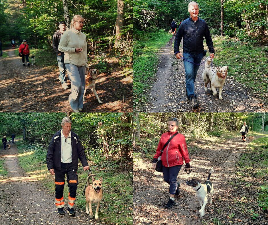 koppeltraning-motala-ostergotland-hundkurs-motala-ostergotland-koppeltraningskurs-motala-ostergotland-ostergotland-koppeltraningskurs-motala-koppeltraningskurs-ostergotland-koppeltraning